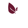 Wine Garden 2021, Botanička bašta Beograd