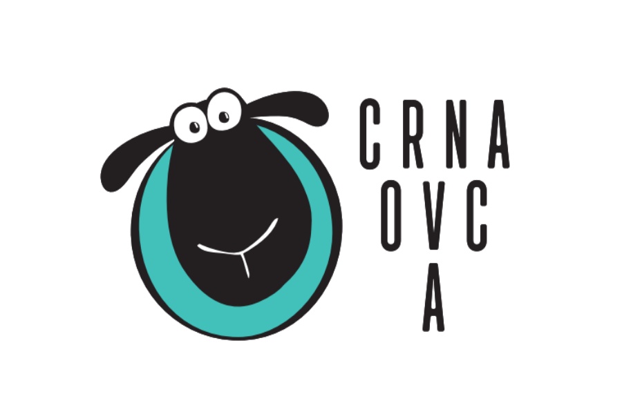 Crna Ovca